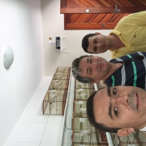 Fortaleza dos Matutos